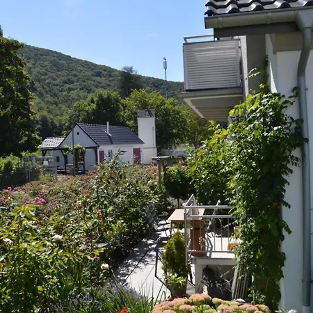 Hochgewächs * Bad Neuenahr-Ahrweiler