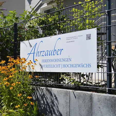 Hochgewächs Bad Neuenahr-Ahrweiler