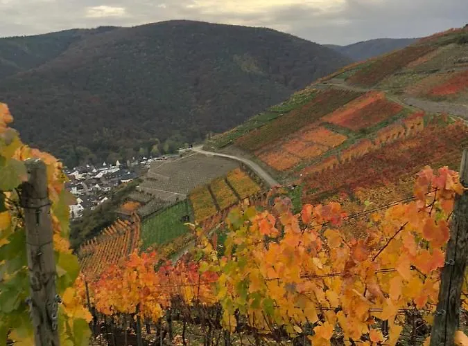 Hochgewaechs Lägenhet Bad Neuenahr-Ahrweiler