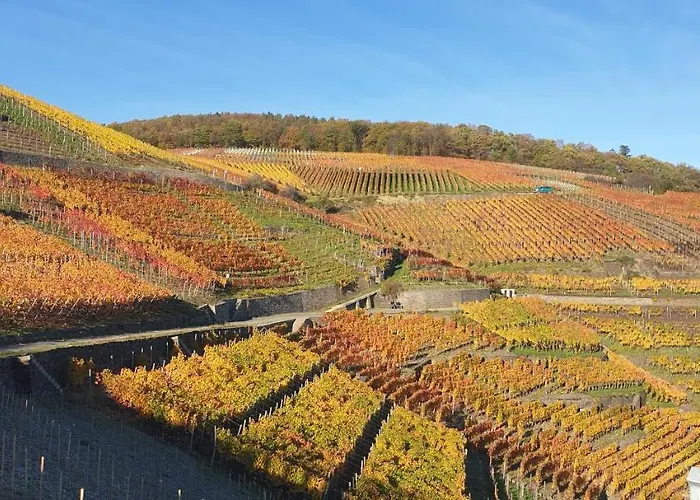 Hochgewaechs * Bad Neuenahr-Ahrweiler
