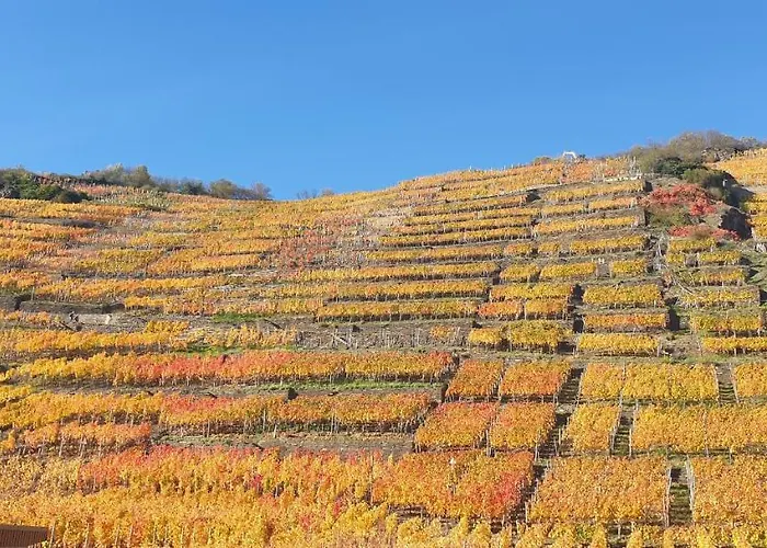 Lejlighed Hochgewaechs *