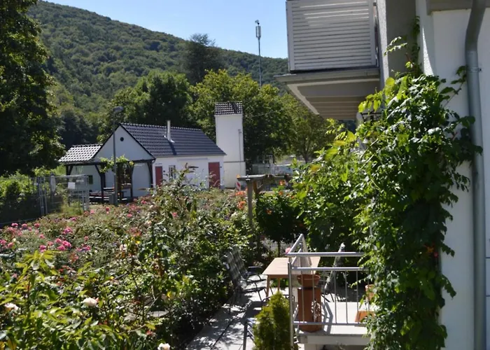 Hochgewaechs * Bad Neuenahr-Ahrweiler