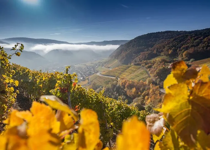 Apartment Hochgewächs *